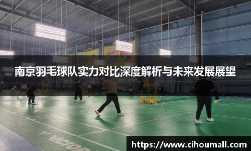南京羽毛球队实力对比深度解析与未来发展展望