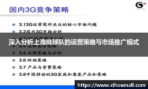 深入分析上海排球队的运营策略与市场推广模式