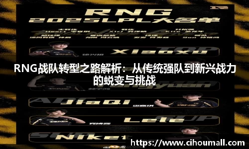 RNG战队转型之路解析：从传统强队到新兴战力的蜕变与挑战
